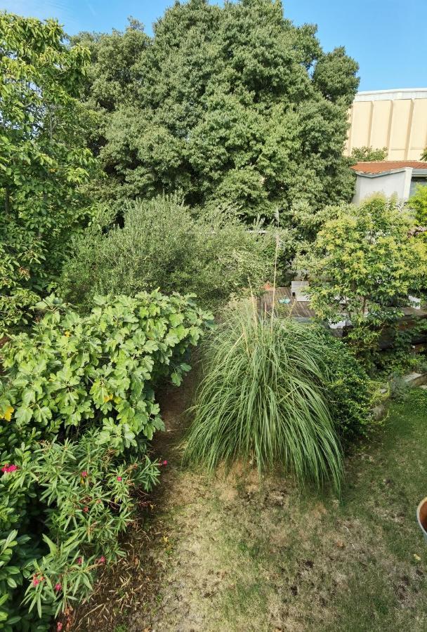 Appartement Pine&lime